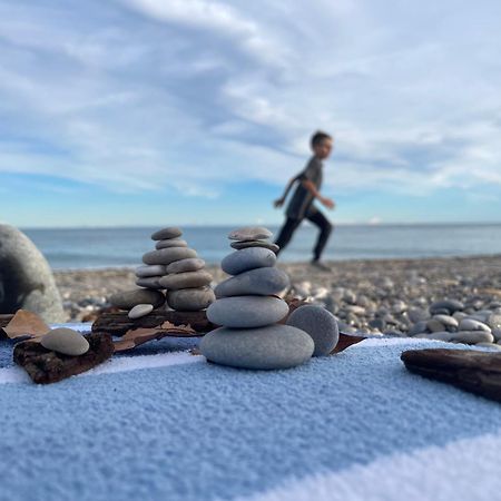 Villeneuve Loubet Plage- Entre Nice Et Cannes エクステリア 写真