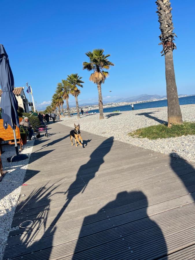 Villeneuve Loubet Plage- Entre Nice Et Cannes エクステリア 写真