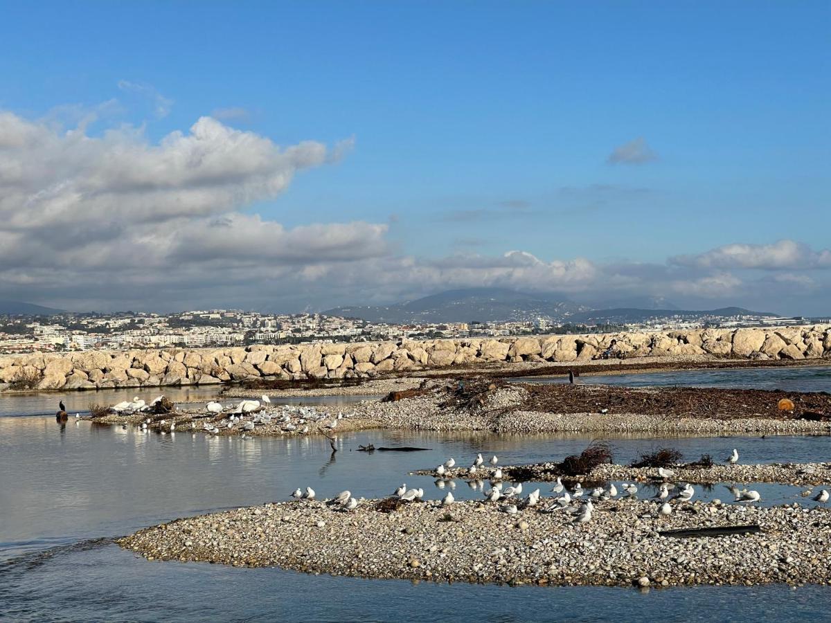 Villeneuve Loubet Plage- Entre Nice Et Cannes エクステリア 写真