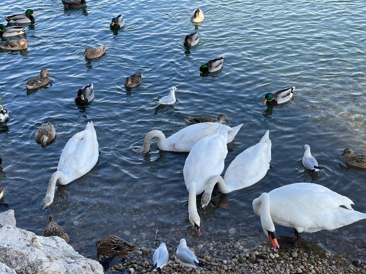 Villeneuve Loubet Plage- Entre Nice Et Cannes エクステリア 写真