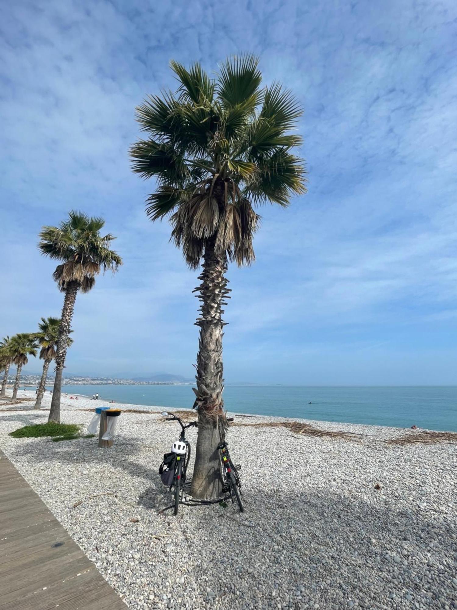 Villeneuve Loubet Plage- Entre Nice Et Cannes エクステリア 写真