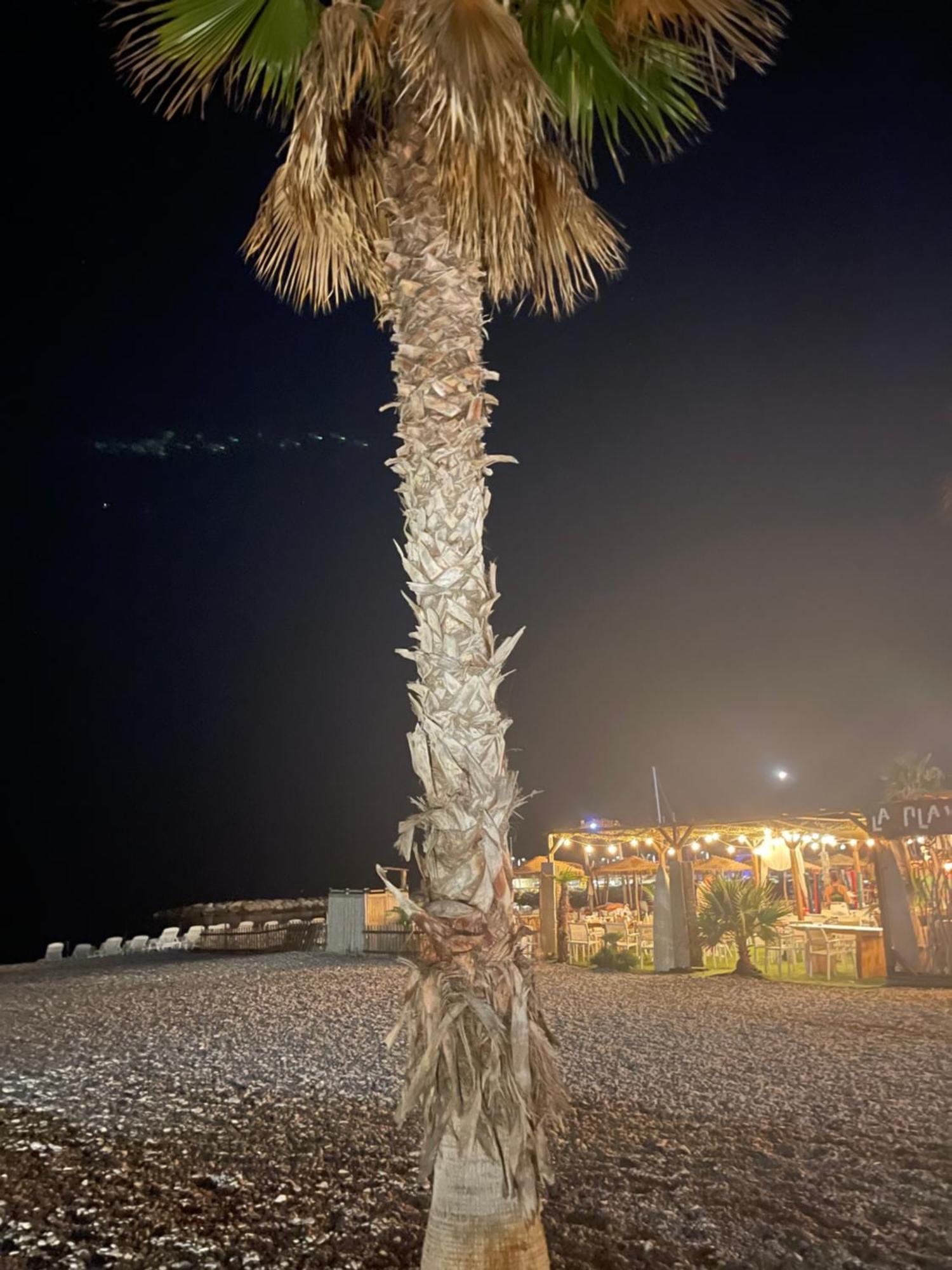 Villeneuve Loubet Plage- Entre Nice Et Cannes エクステリア 写真