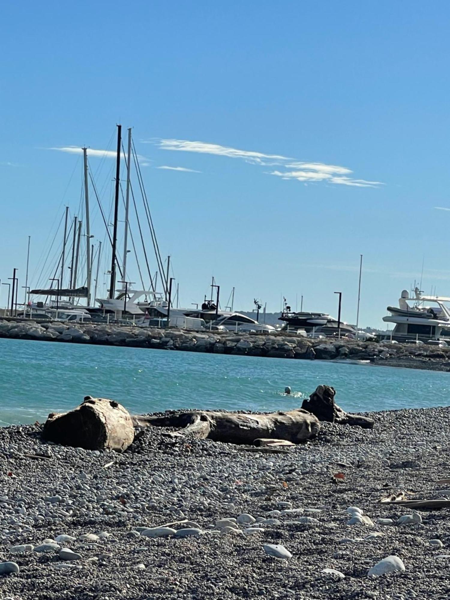 Villeneuve Loubet Plage- Entre Nice Et Cannes エクステリア 写真