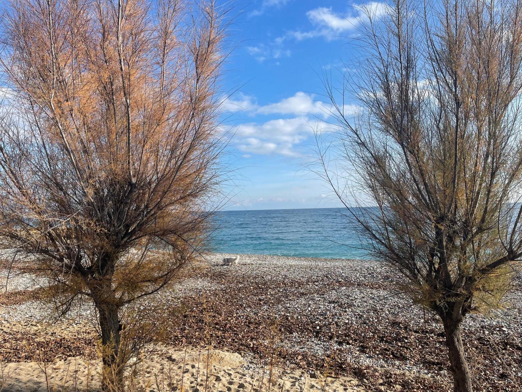 Villeneuve Loubet Plage- Entre Nice Et Cannes エクステリア 写真