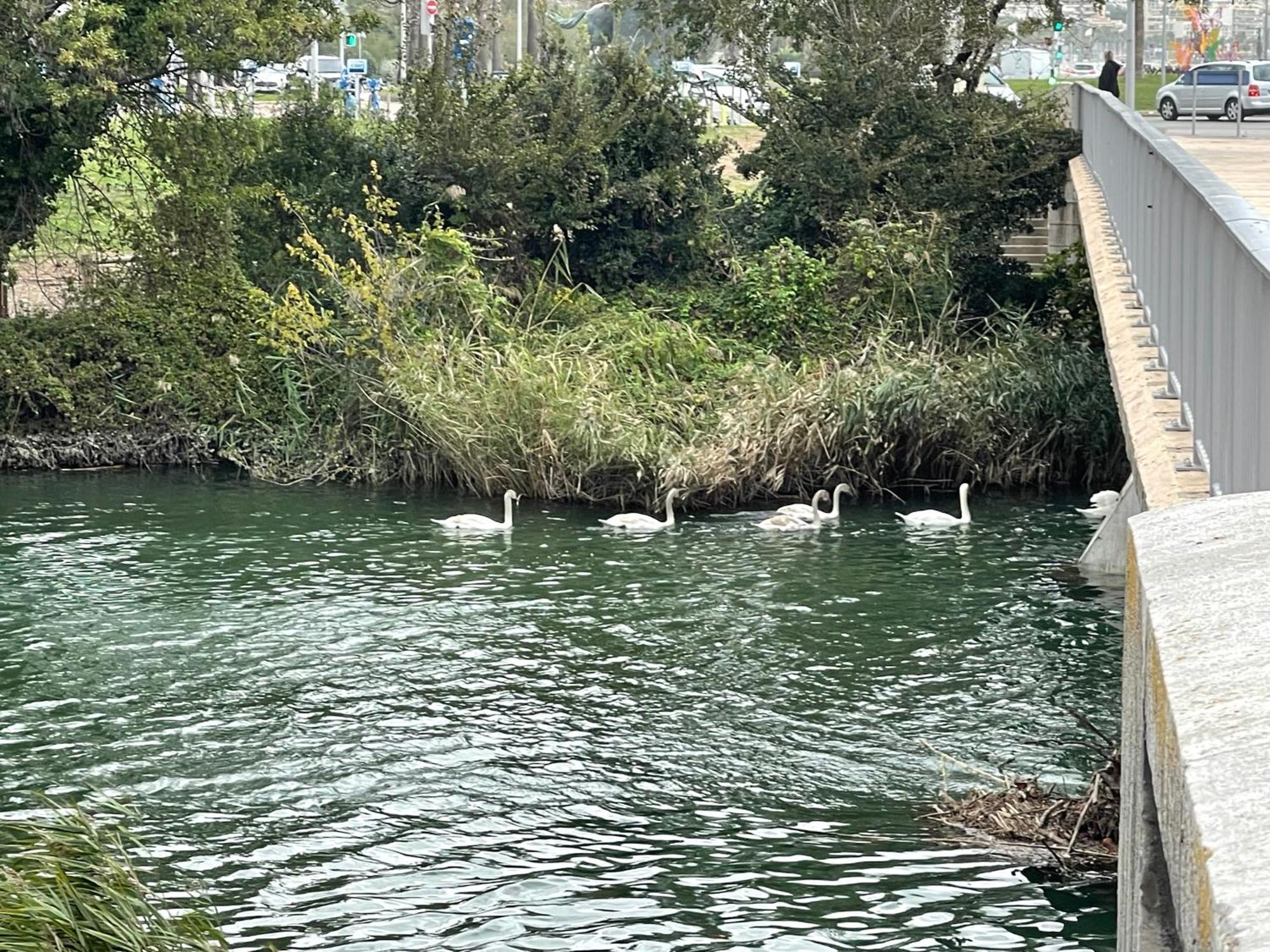 Villeneuve Loubet Plage- Entre Nice Et Cannes エクステリア 写真