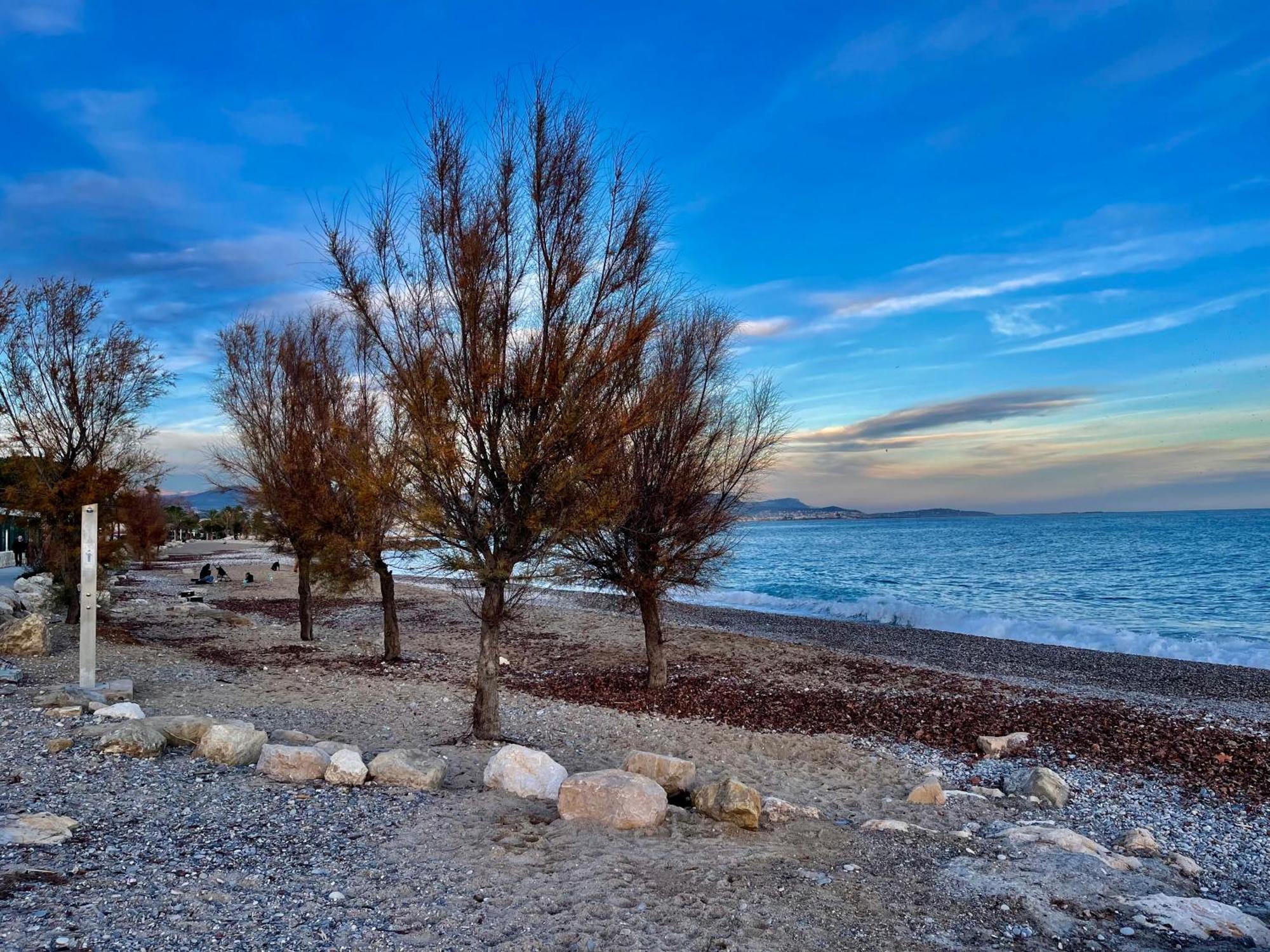 Villeneuve Loubet Plage- Entre Nice Et Cannes エクステリア 写真